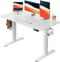 Huanuo  48" x 24" Electric Standing Desk