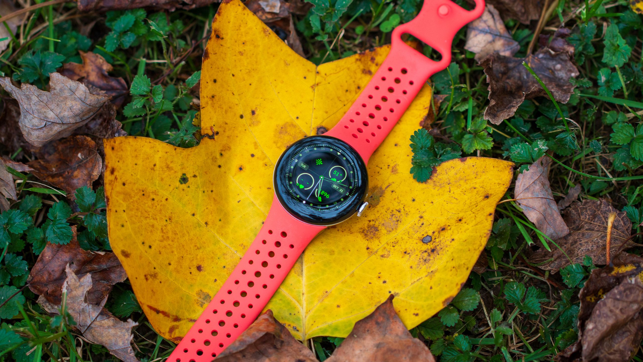 Your Pixel Watch could soon get some Material You love with Dynamic ...