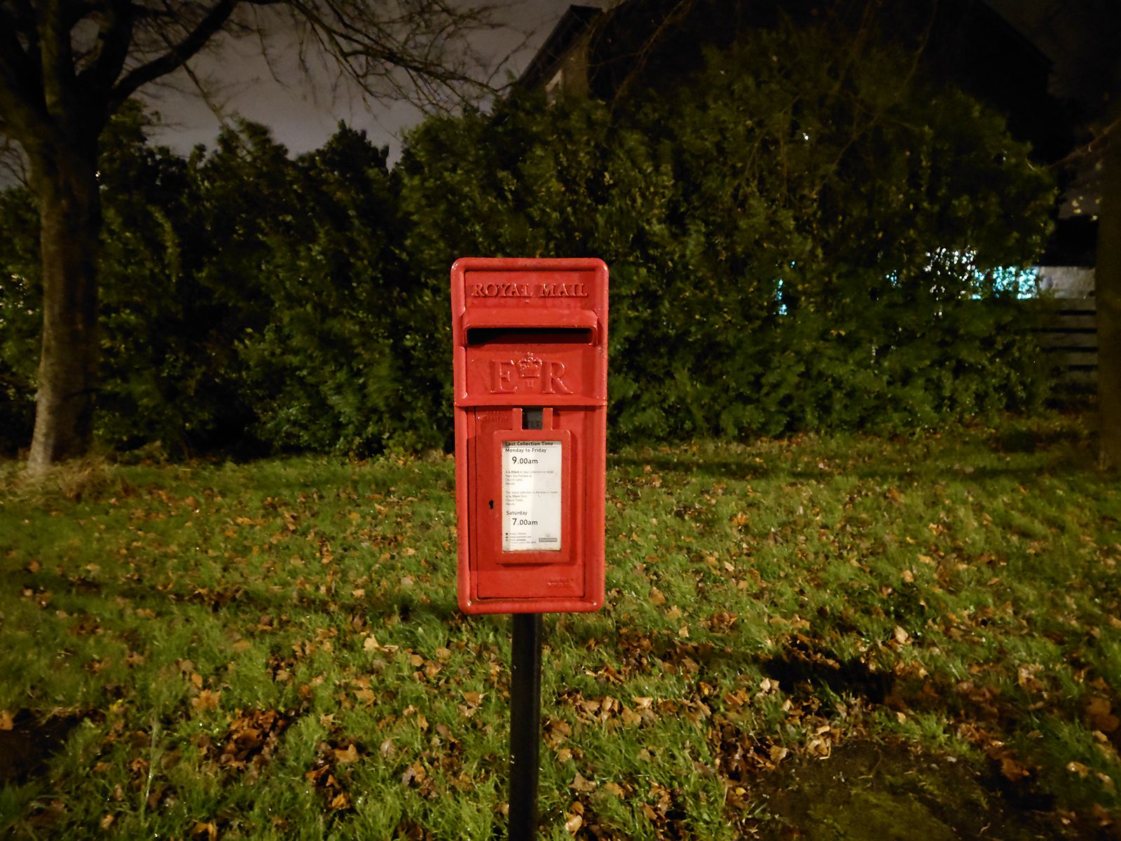 Sony Xperia 5 II camera sample