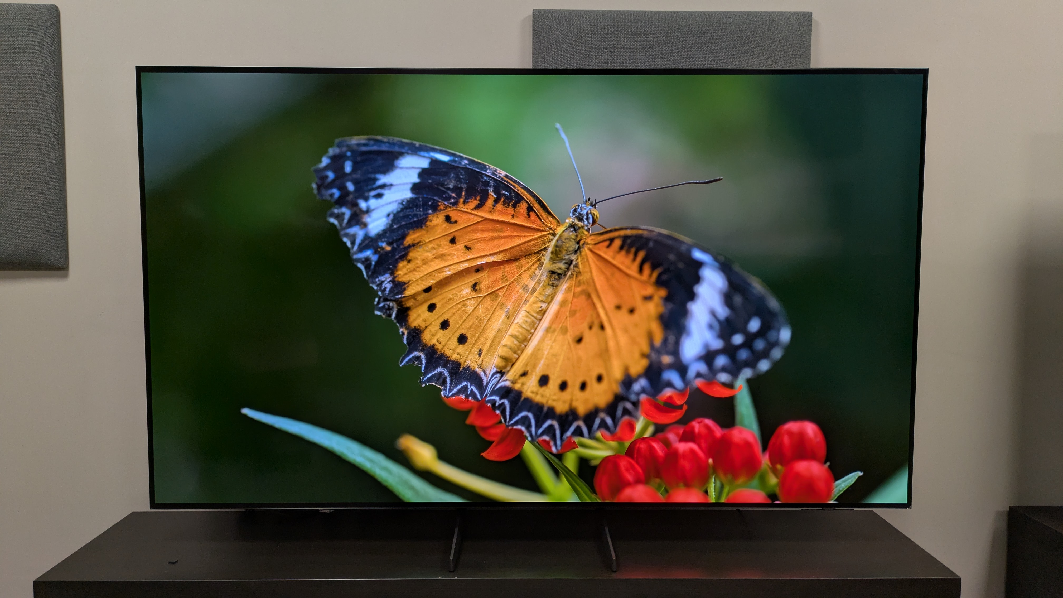 Samsung S85F with orange butterfly on screen