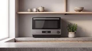 The Panasonic Japanese Microwave on a countertop