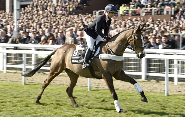 Kauto-Star-1-10-3-15.jpg