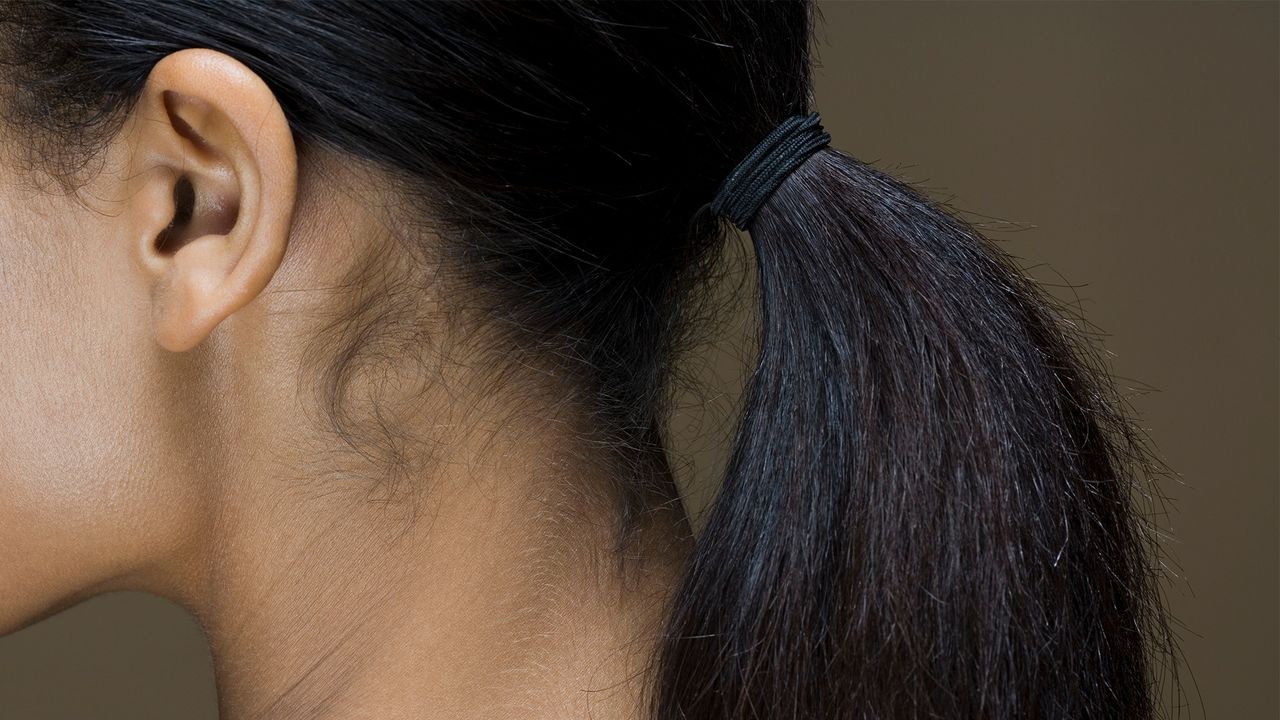 Rear view of a woman&#039;s ponytail - stock photo