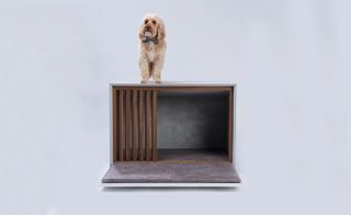 Doggle Box kennel, by DLM Architects, fabricted by DLM