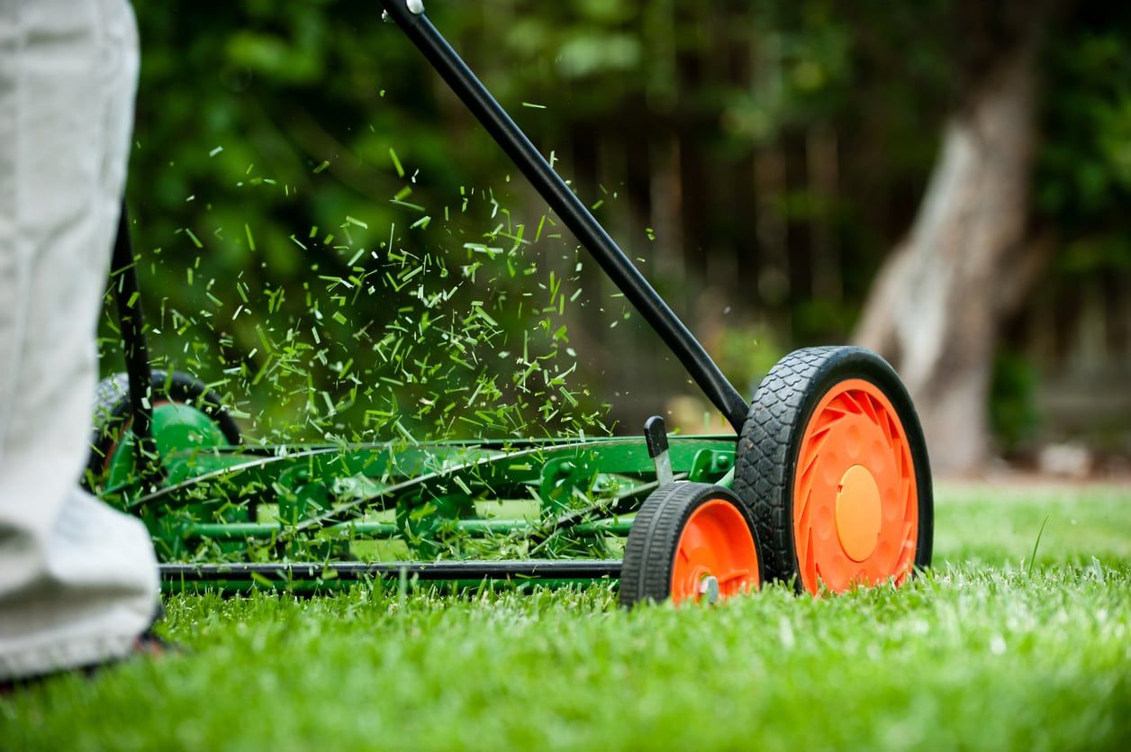 Person Mowing Lawn