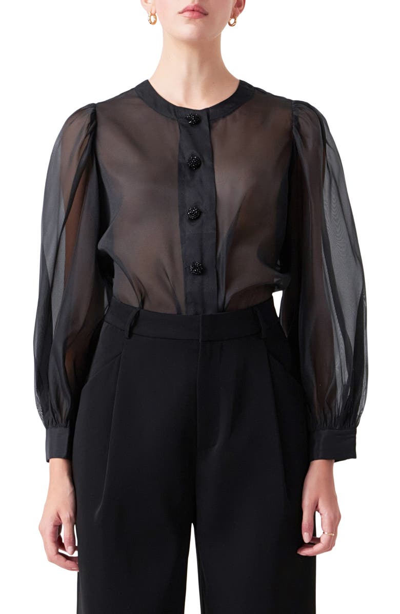 Sheer Organza Top