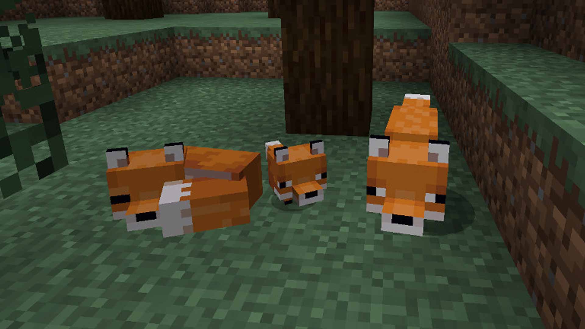 How To Tame A Fox In Minecraft And Make A New Friend Gamesradar - fox news v1 roblox