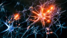 Illustration of neurons depicted in grey-blue with red light to signify action potentials 