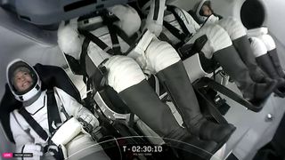 SpaceX's private Polaris Dawn astronauts inside Dragon in launch position.