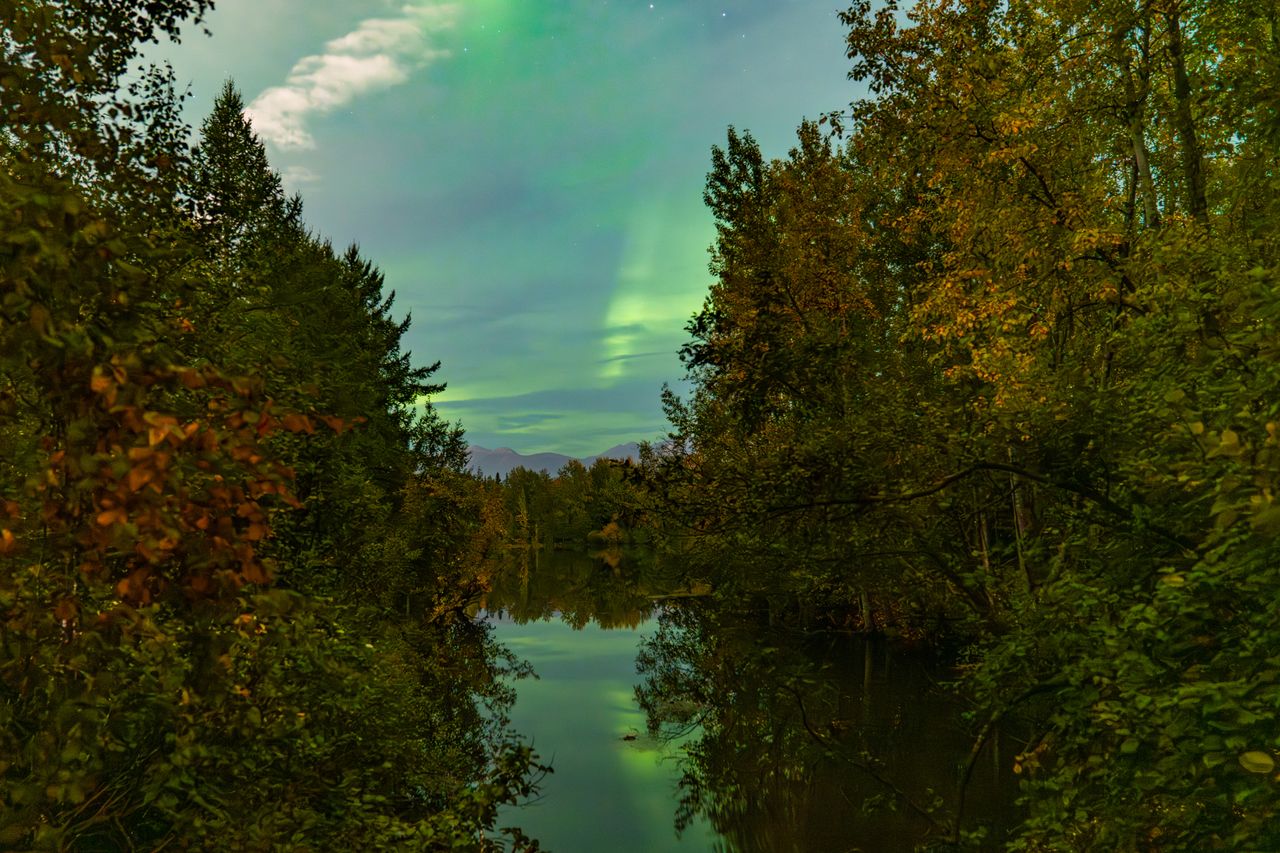 green northern lights above Anchorage, Alaska on Sept. 15. The aurora appears as a green ribbon in the sky.