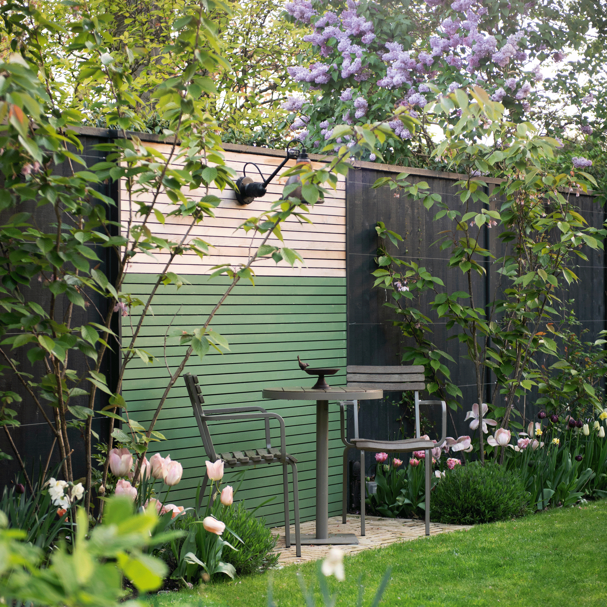 a garden with a bistro set in front of a two-tone painted fence and a lawn with lots of tulips