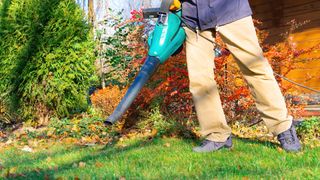 Man using a leaf blower in an autumn yard on the grass.