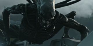 Alien Covenant Xenomorph