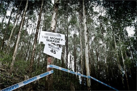 A photo from the track walk in Pietermaritzburg