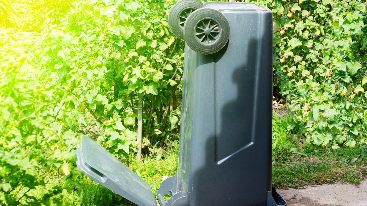 How to get rid of maggots in your garbage can fast Tom's Guide