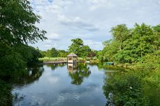 Dulwich Park Lake in summer