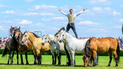 Ben Atkinson stood across the backs of two grey horses, with four others forming a line around them