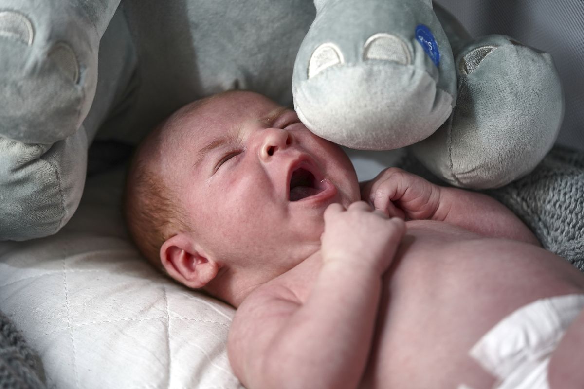 My first newborn shoot