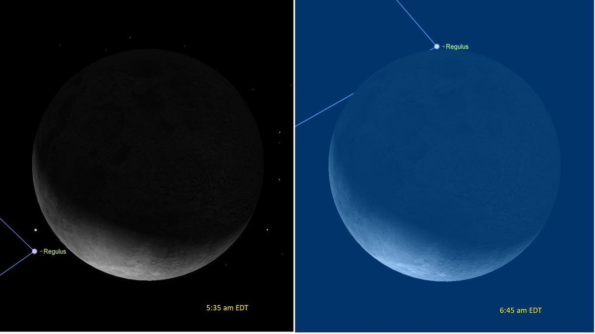 Don't Miss the Moon Hide the Bright Star Regulus Before Dawn Sunday ...