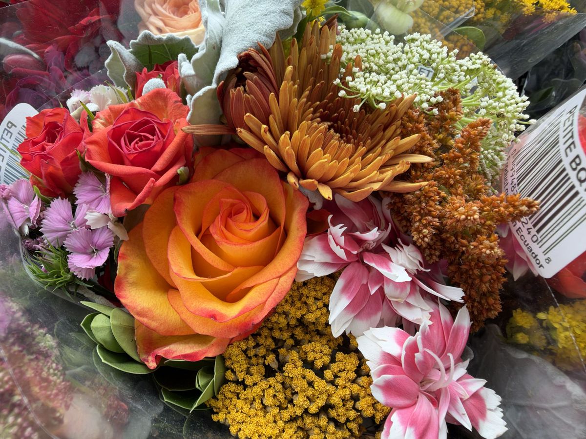 Apple iPhone 18 Pro Max camera sample.