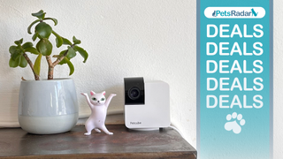Megan's petcube 360 camera on a ledge next to a cat figure and a small plant in a pot. A PetsRadar logo, paw print, and deals overlay to the right hand side