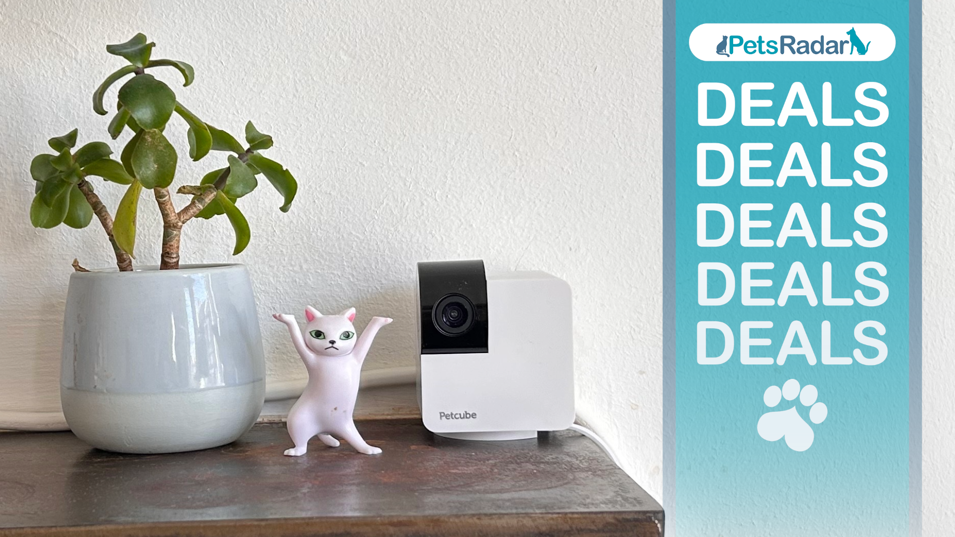 Megan&#039;s petcube 360 camera on a ledge next to a cat figure and a small plant in a pot. A PetsRadar logo, paw print, and deals overlay to the right hand side