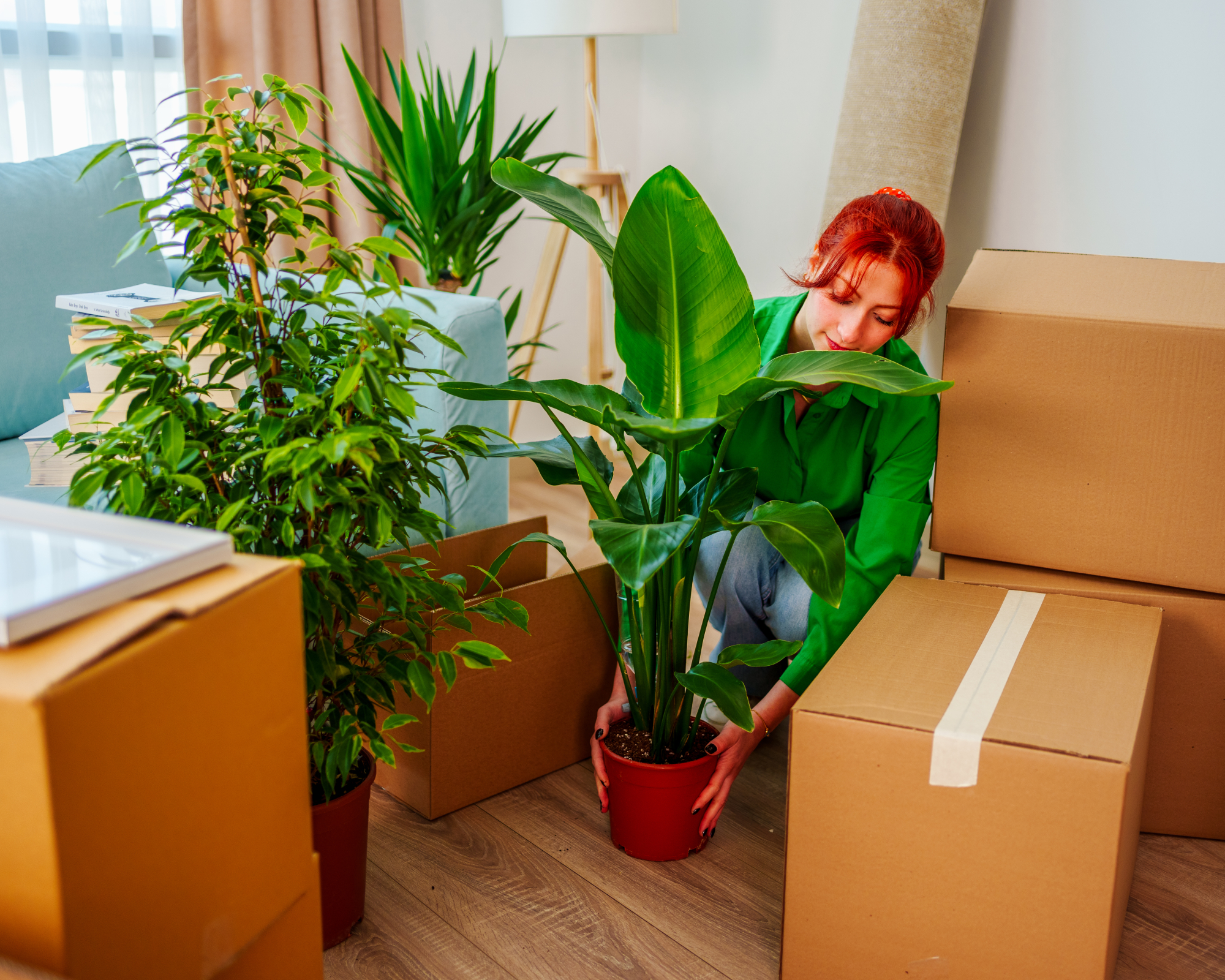 woman packing houseplants with cardboard boxes