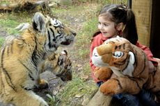 children, zoos, aquarium