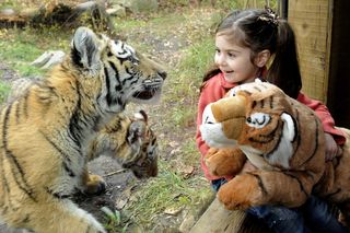 children, zoos, aquarium