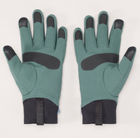 Arc'teryx Venya Glove (unisex): was $75 now $52