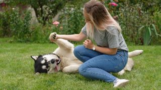 Girl spending time with her Alaskan malamute