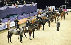 hoys-line-up-1.jpg