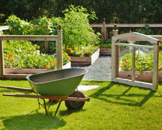 Vegetable garden surrounded by protective mesh fence, with wheelbarrow in foreground