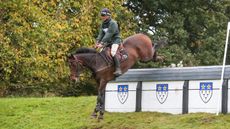 Andrew Nicholson rides Monbeg Exclusive to win at Bicton Arena (3).