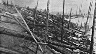 black and white photo showing felled trees after the Tunguska event
