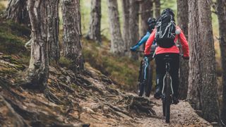 Mountain bikers in forest