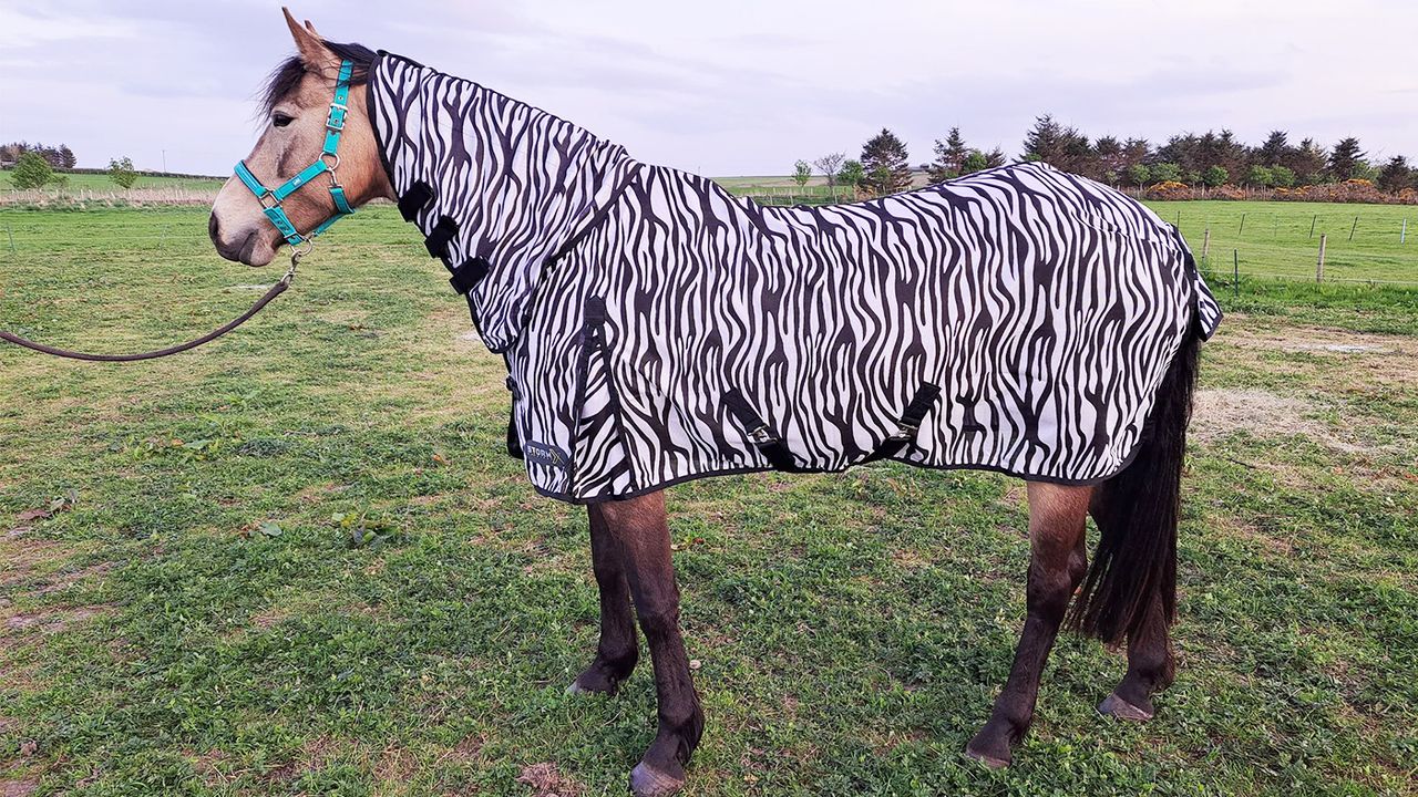 Hy StormX Original Zebra Fly Rug