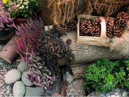 Natural Material Garden With Pinecones Plants Rocks