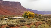 A larger reddish butte overlooks a flowing river with sage and brush on either side
