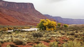 A larger reddish butte overlooks a flowing river with sage and brush on either side