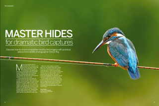 Simon Roy gives advice on using hides to photograph wildlife