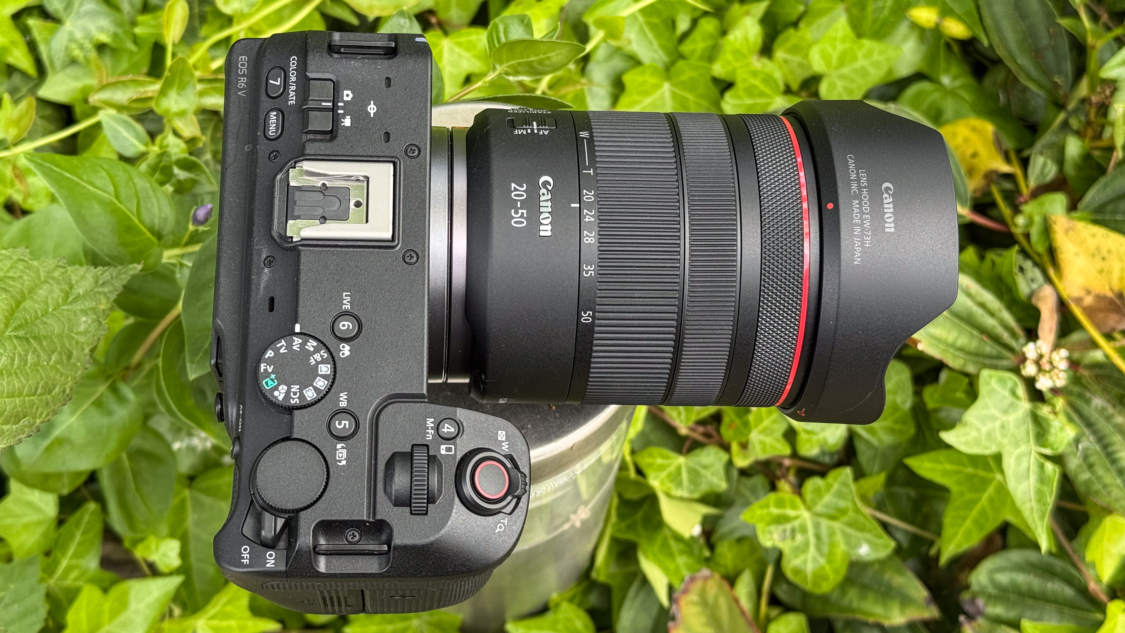 Canon EOS R6 V with the Canon RF 20-50mm f/4L IS USM PZ sat outdoors on foliage