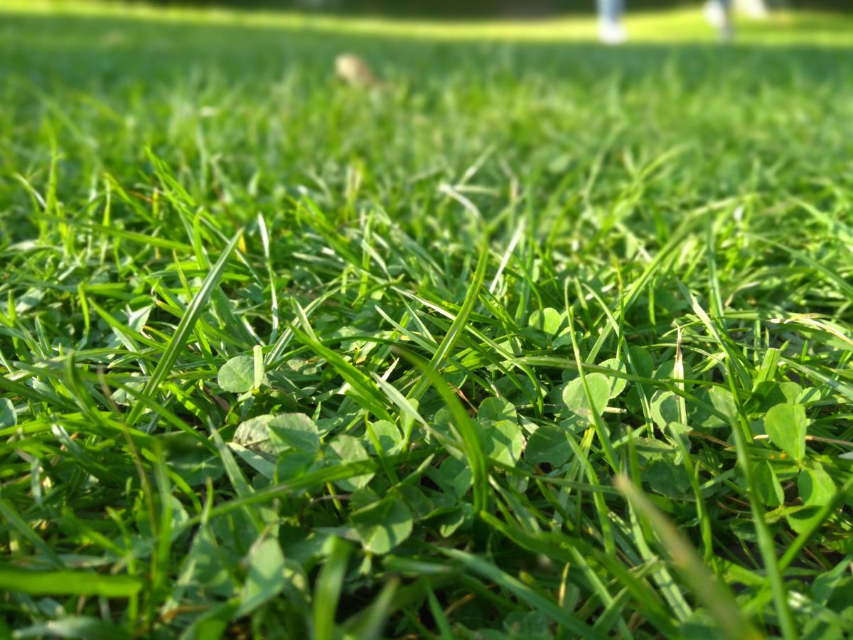 The depth mode isn&rsquo;t perfect but can create some DSLR-like effects.