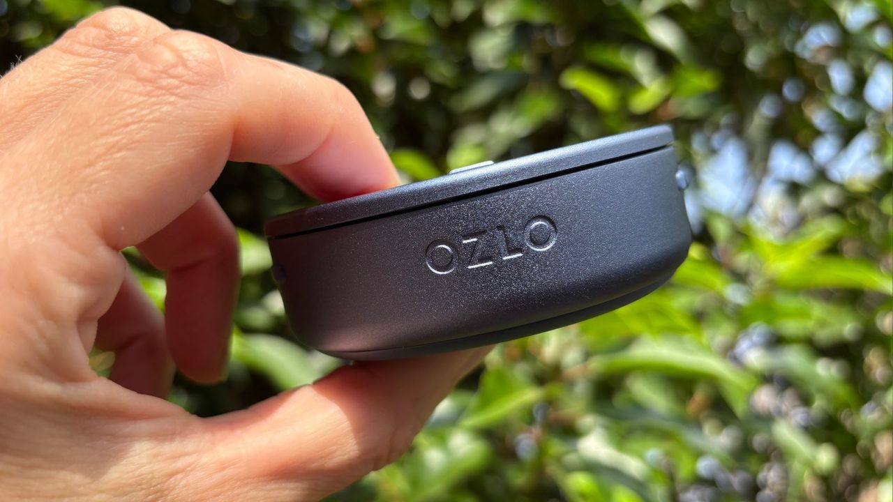 A hand holds the battleship blue Ozo Sleepbuds 2 case against a backdrop of green foliage