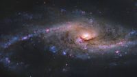 The starburst galaxy NGC 4536, seen here in a photo by the Hubble Space Telescope, has bright blue clusters of baby stars and pink clumps of ionized hydrogen gas speckled throughout its sweeping spiral arms. 