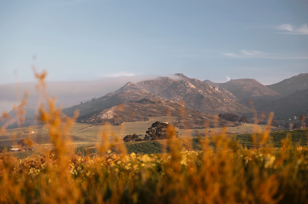 The Swartland