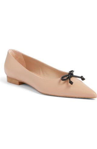 Landon Pointed Toe Ballet Flat