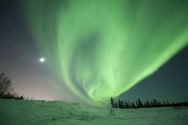 Iditarod photos, last great race, dogsledding