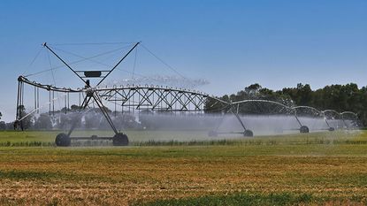 Crop irrigation