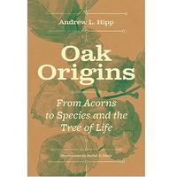 Oak Origins: From Acorns to Species and the Tree of Life